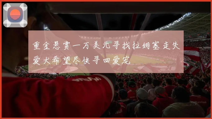 重金悬赏一万美元寻找拉姆塞走失爱犬希望尽快寻回爱宠