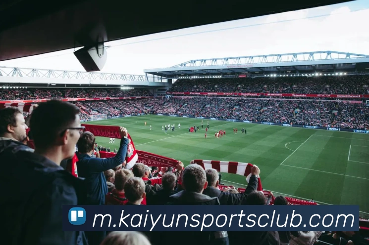 开云体育平台生态图